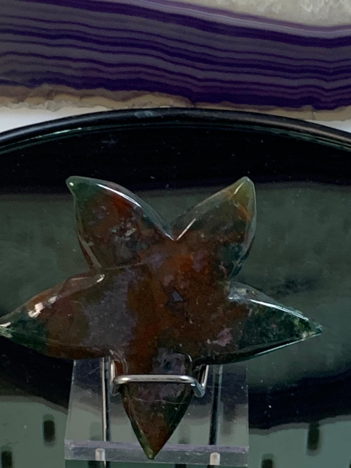 Moosachat Seestern mit Druse