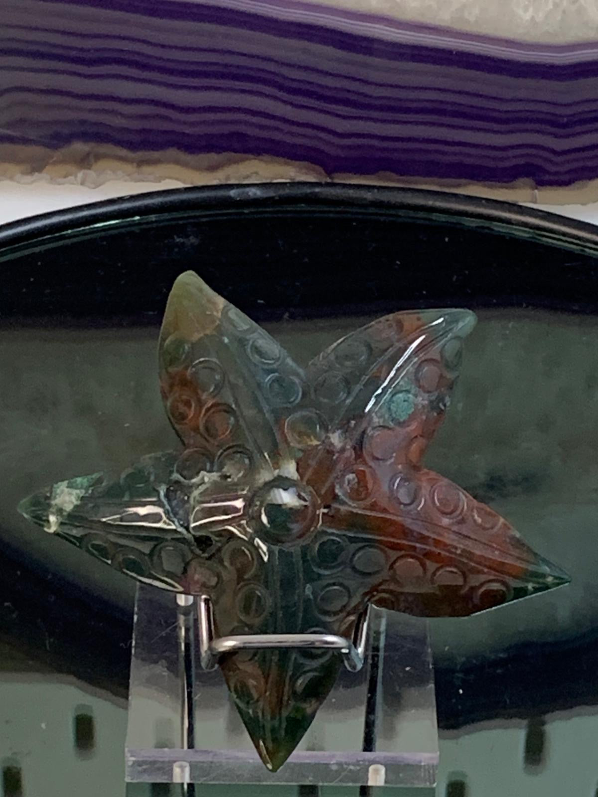 Moosachat Seestern mit Druse