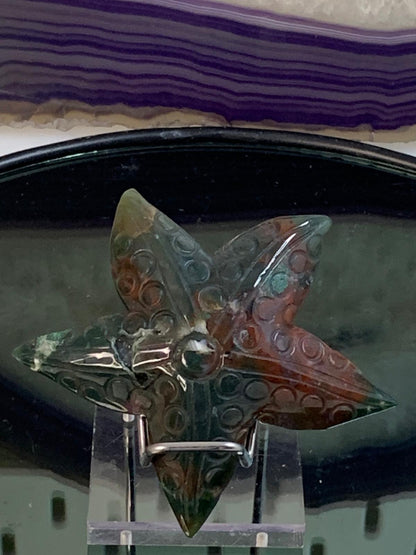 Moosachat Seestern mit Druse