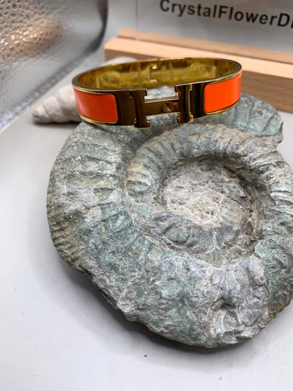 Hermes Armband Orange