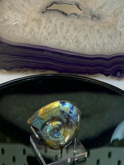 Ammonit aus Labradorit